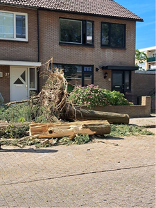 NOC-Poly- Stormschade in de wijk Weermolen